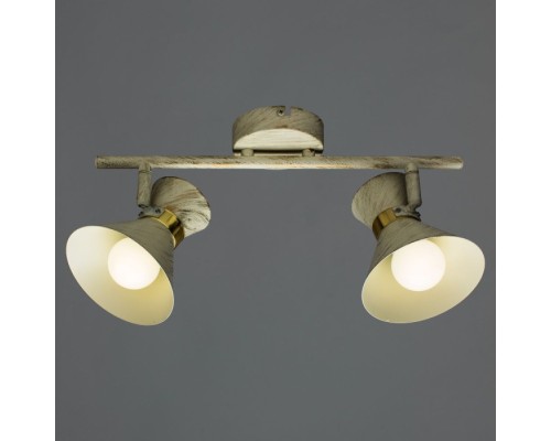 Спот Baltimore A1406AP-2WG Arte Lamp