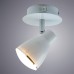 Спот Gioved A6008AP-1WH Arte Lamp