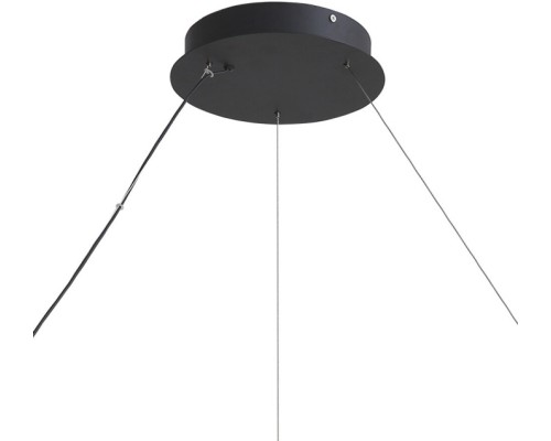 Подвесной светильник Belgin LH8030/1PM-SBK Lumien Hall