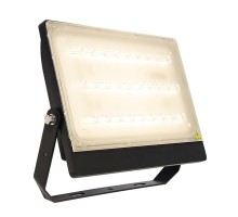 Прожектор уличный Brachium 732106 Deko-Light