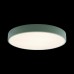 Потолочный светильник Axel 10002/24 Green Loft It