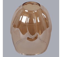 Плафон  019/GLASS Reluce