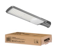 Уличный консольный светильник  STL-100W/02 Wolta
