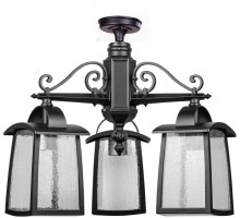 Потолочный светильник уличный FRANKFURT I 27370A 3 02 Bl Oasis Light
