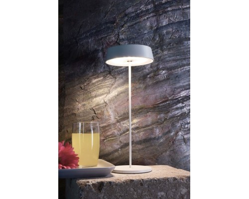 Интерьерная настольная лампа Miram 620095 Deko-Light