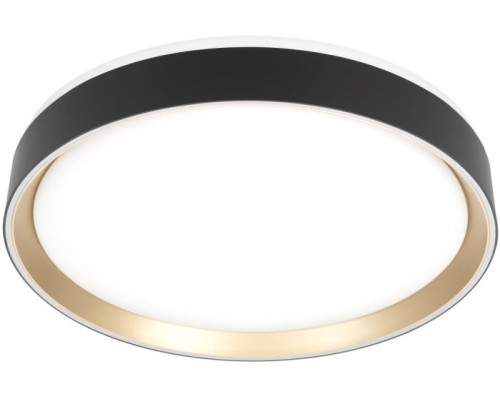Потолочный светильник Boss CL751351G Citilux