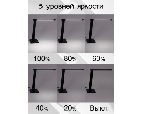 Офисная настольная лампа Ньютон CL803081 Citilux
