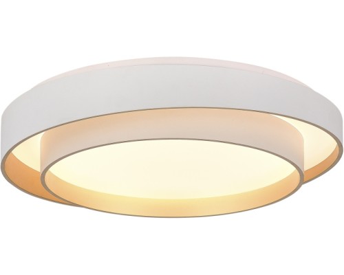 Потолочный светильник Crosby SLE6009-502-01 Evoluce