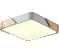 Потолочный светильник Alberro ZRS.01285.24 Zortes