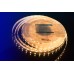 Светодиодная лента LUX DSG560-12-WW-33 DesignLed