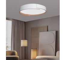 Потолочный светильник  F0724-30 Alfa Light