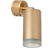 Спот Rullo RB4401030 Lightstar