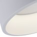 Потолочный светильник Corona A6245PL-1WH Arte Lamp