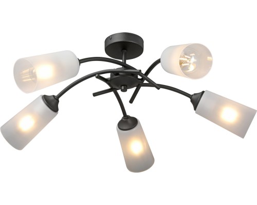 Потолочная люстра  V2850-1/5PL Vitaluce