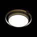 Потолочный светильник Mike 10169 Loft It