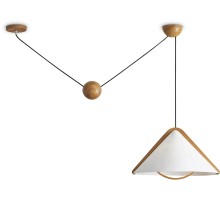 Подвесной светильник Umbra FR5554CL-01T Freya