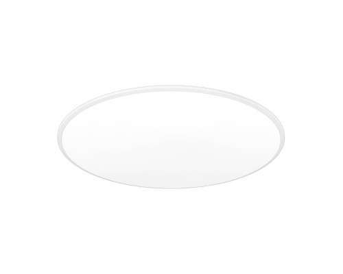 Потолочный светильник Slim 8691 Mantra