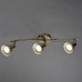 Спот Focus A5219PL-3AB Arte Lamp