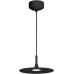 Подвесной светильник FIORE 035998 Arlight