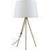 Интерьерная настольная лампа Sandy FR5118TL-01BS Freya