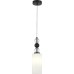 Подвесной светильник SL2003 SL2003.403.01 ST Luce