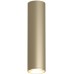 Точечный светильник TUBE DK2052-SG Denkirs