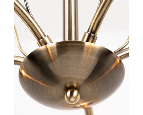 Потолочная люстра Willow A3461PL-5AB Arte Lamp