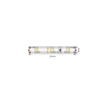 Светодиодная лента SWG260 SWG260-12-4.8-WW-66-M SWG
