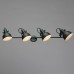 Спот Martin A5215PL-4BG Arte Lamp