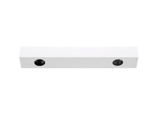 Потолочный светильник DL18629 DL18629/2Kit W Dim Donolux