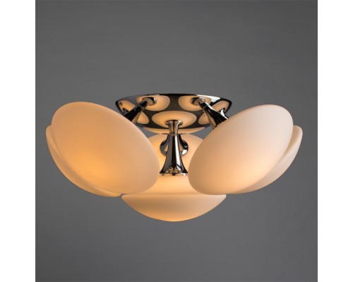 Потолочная люстра Aqua-sfera A2550PL-6CC Arte Lamp