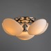 Потолочная люстра Aqua-sfera A2550PL-6CC Arte Lamp