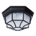 Потолочный светильник уличный Pegasus A3100PL-1BK Arte Lamp