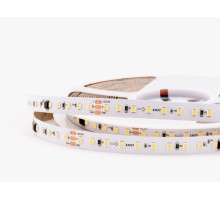 Светодиодная лента  004785 LEDS Power