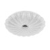 Потолочный светильник Arco Shell 225640 Lightstar