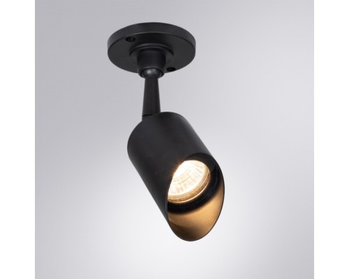 Прожектор уличный Elsie A1022AL-1BK Arte Lamp