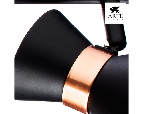 Спот Baltimore A1406PL-3BK Arte Lamp