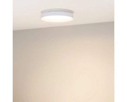 Потолочный светильник ESTELY 055366 Arlight