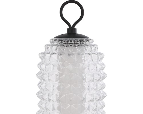 Интерьерная настольная лампа Saguaro SL6144.404.01 ST Luce