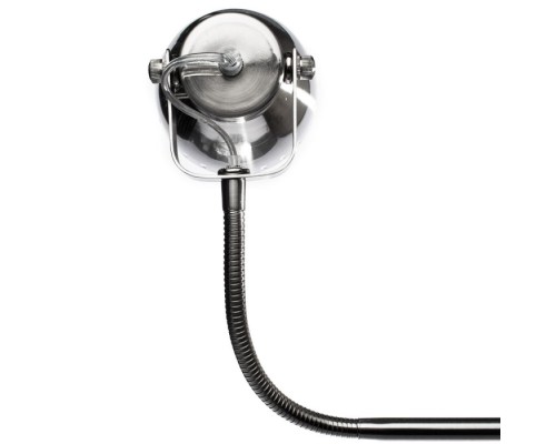 Интерьерная настольная лампа Luned A2214LT-1SS Arte Lamp