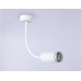 Настенно-потолочный светильник WALLERS FW2469 Ambrella