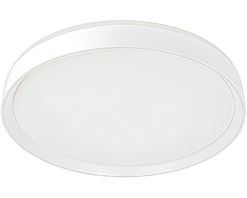 Потолочный светильник Boss CL751450G Citilux
