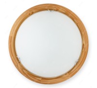 Настенно-потолочный светильник Hillary TL9023Y-02PN TopLight