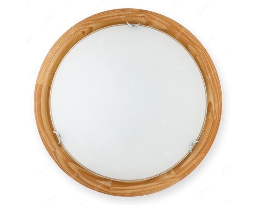 Настенно-потолочный светильник Hillary TL9023Y-02PN TopLight