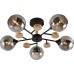 Потолочная люстра Elouisa 9181-305 Rivoli