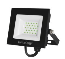 Прожектор уличный  LFL-30W/07 Lumin'arte