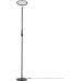 Торшер Click CL810021 Citilux