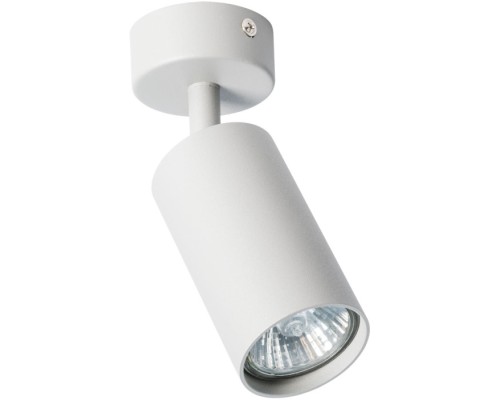 Спот Aquarius A3216PL-1GY Arte Lamp