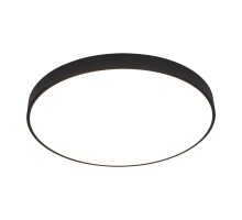 Потолочный светильник Arena A2673PL-1BK Arte Lamp