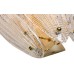 Бра  K2KG02W-2G Garda Decor